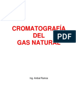 Introduccion A La Cromatografia Del Gas Natural