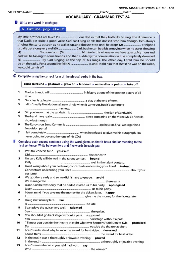 Vocabulary and Grammar Test 24 | PDF