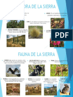 Flora de La Sierra