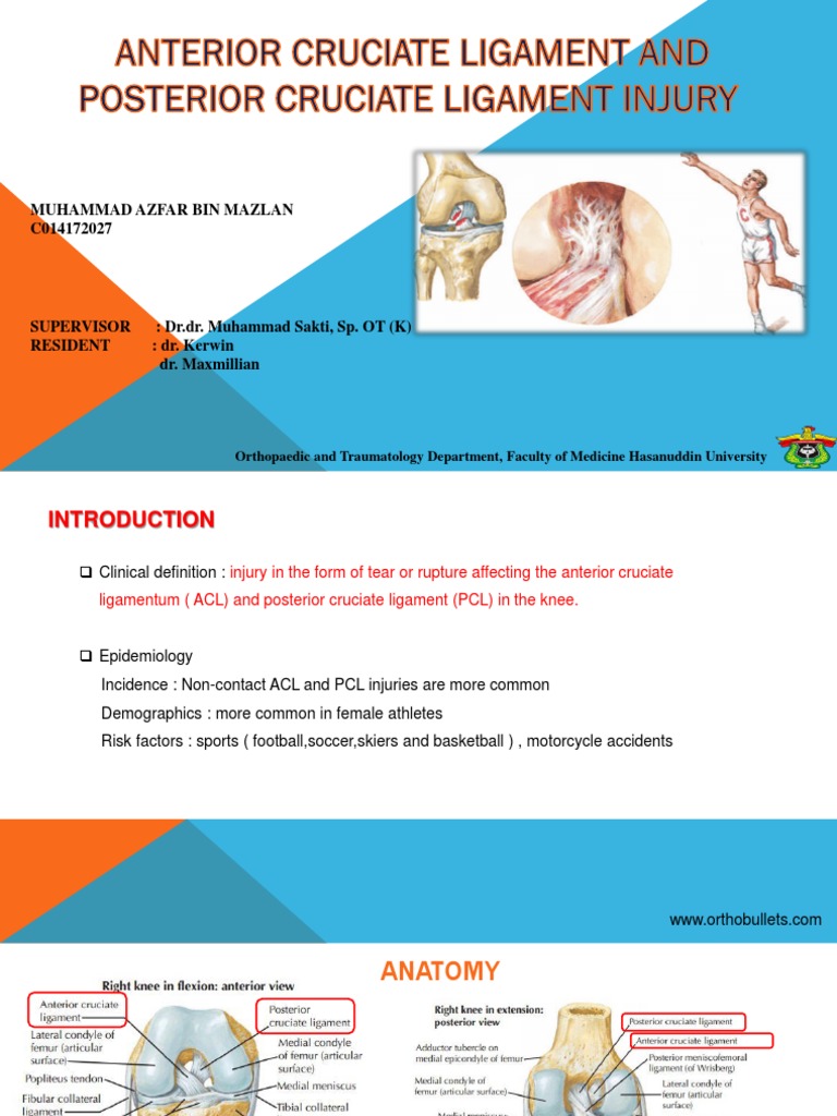 Presentation ACL and PCL | Download Free PDF | Knee | Joints