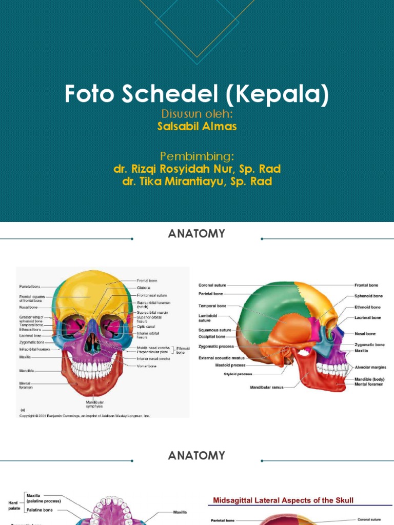 Teknik Foto Schedel dan Mastoid | PDF