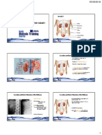 Anatomy and Functions of The Kidney - Edited For Printing