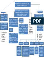 Mapa Conceptual Evidencia 1