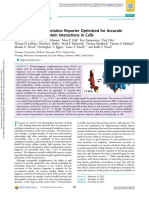 NanoLuc Complementation Reporter Optimized for Accurate.pdf