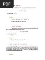 radicais.docx
