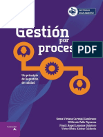 Gestion Por Procesos