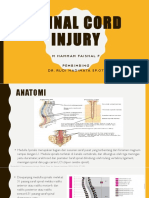 Spinal Cord Injury (Ortho Hamam)