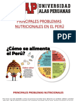 Problemas nutricionales Perú