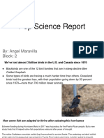Angel Maravilla - Pop Science Report