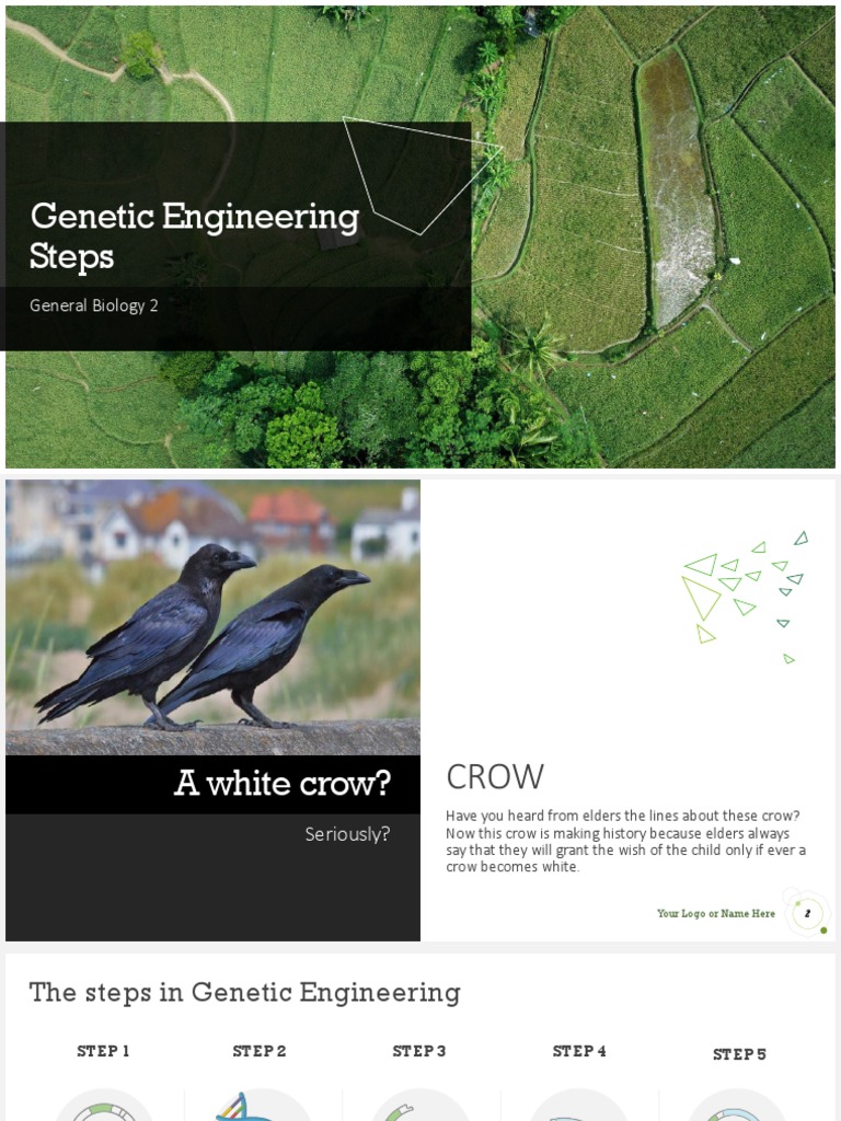 7 Steps in Genetic Engineering Process | PDF | Plasmid | Molecular Cloning