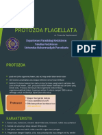 Protozoa Flagellata