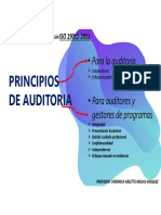 Principios de Auditoria