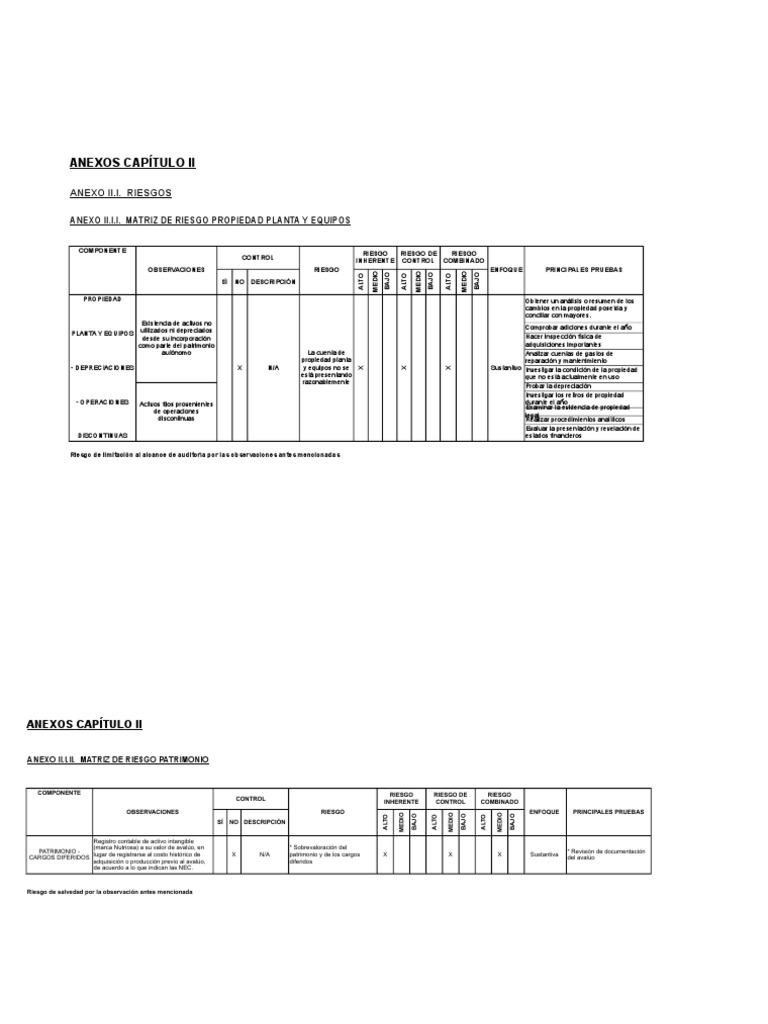 5 Cap II Matrices de Riesgo y Plan de Auditoria | PDF | Inventario ...