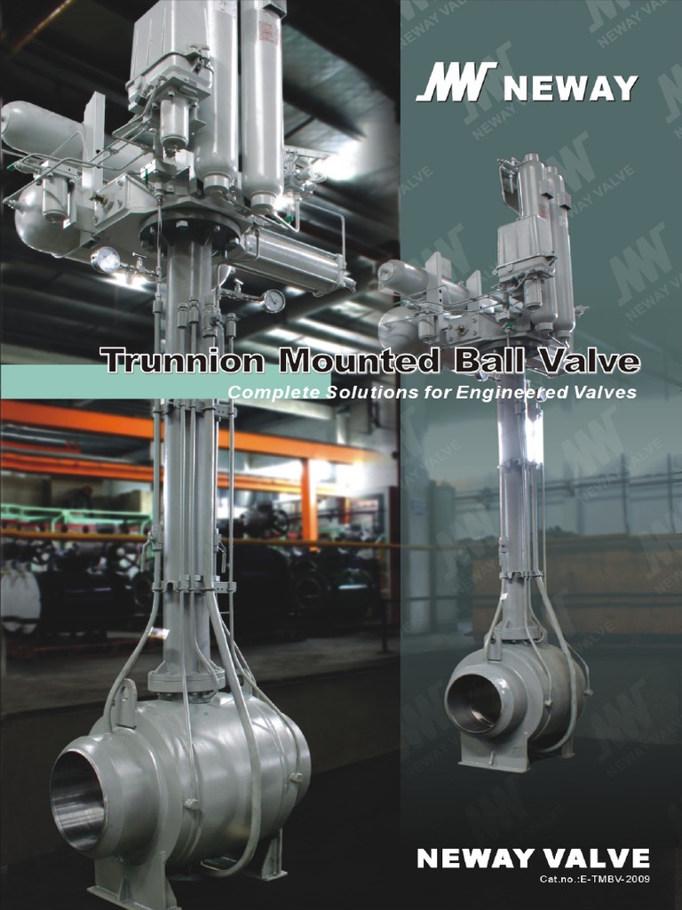 Neway Trunnion Mounted BallValve PDF