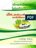 rs1 PDF