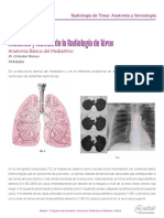 5 Anatomia Pulmon