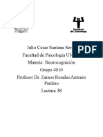 Julio César Santana Serna Facultad de Psicología UNAM Materia: Neurocognición Grupo 4010 Profesor Dr. Zainos Rosales Antonio Paulino Lectura 38