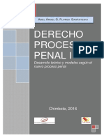 Derecho Procesal Penal I.pdf
