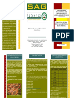 Alimentaciontilapia PDF