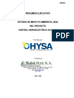 Resumen Ejecutivo C.H Oco 2010 PDF