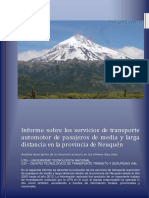 Informe Neuquen Completo