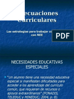 Adecuaciones Curriculares (1).ppt