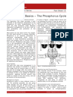 Phosphorus Cycle Fact Sheet