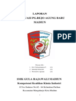 Laporan Observasi PG Rejo Agung Baru Mad PDF