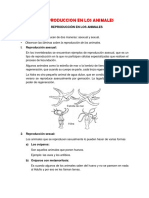 TEMA.pdf