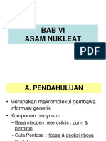 ASAM NUKLEAT B.pdf
