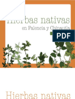 Hierbas Nativas en Palencia y Chinautla PDF