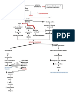 Glomerular: DM Hypoalbuminuria Hyperlipidemia Edema Proteinuria