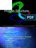 Lecture Presentation - Protein Structure.ppt