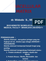 MATRIKS EKSRASEL  BS1 KL A+B.pptx