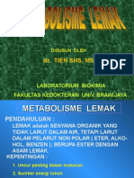 METABOLISME  LEMAK BS1.ppt