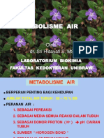 METABOLISME AIR - dr. Tien.ppt