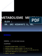 METABOLISME MINERAL - Dr. Tien