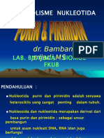 METAB.NUKLEOTIDA FKUB 2012.ppt