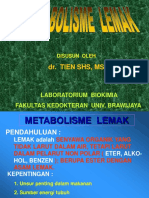 Metabolisme Lemak 2009