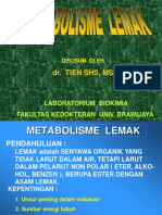 Metabolisme Lemak BS1