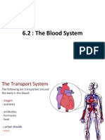 6.2 the Blood System