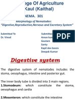 NEMA. 301: Morphology of Nematodes: "Digestive, Reproductive, Nervous and Excretory System"