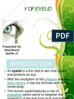 Anatomy of Eyelid: Free Powerpoint Templates Free Powerpoint Templates