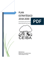 Plan Estratégico CEIBA Final PDF