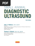 Ultrasonografia en Pequeños Animales