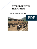 Project Report For Sheep Farm: 100 Does + 04 Bucks