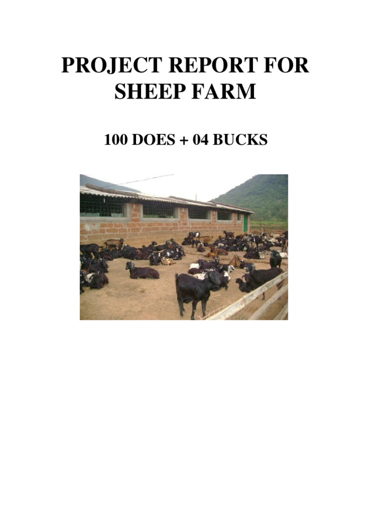 Sheep Farming Project Report Overview | PDF | Internal Rate Of Return ...