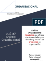 Análisis Organizacional