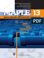 Maple 13.pdf