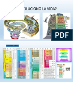 Cómo Evoluciono La Vida